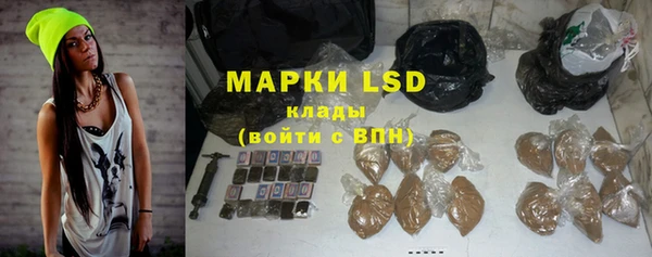 индика Дмитровск