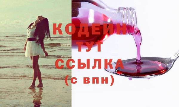 МДПВ Гусев