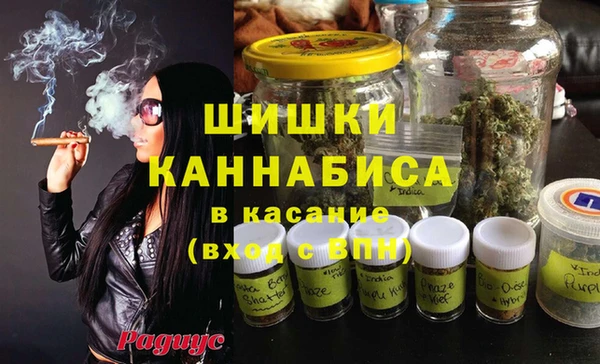 сатива Дмитриев