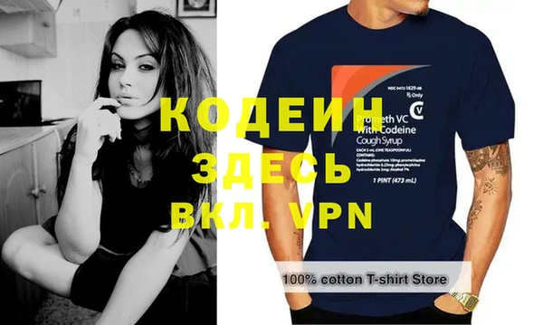 МДПВ Гусев
