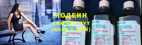 МДПВ Гусев