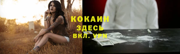 СК Гусь-Хрустальный