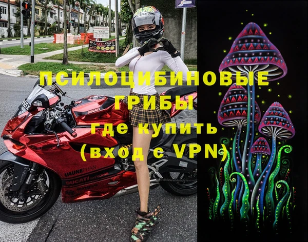 МДПВ Гусев