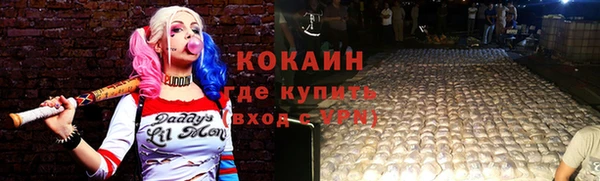 МДПВ Гусев