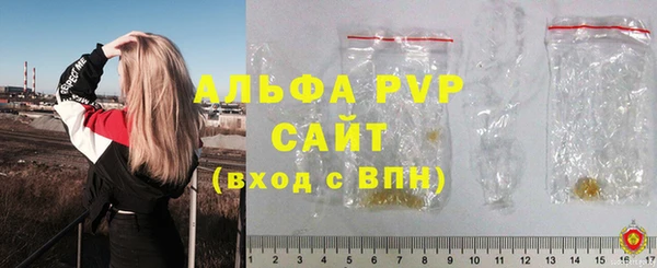 прущие грибы Дмитров