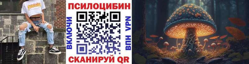 Купить  Канаш  Галлюциногенные грибы Psilocybine cubensis 
